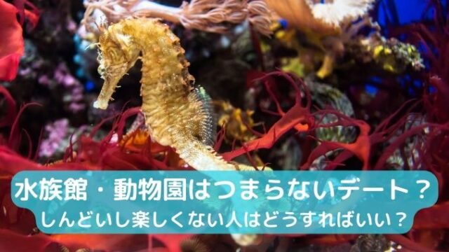 水族館・動物園はつまらないデート？しんどいし楽しくない人はどうすればいい？