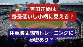 吉田正尚は身長低いし小柄に見える？体重増は筋肉トレーニングに秘密あり？