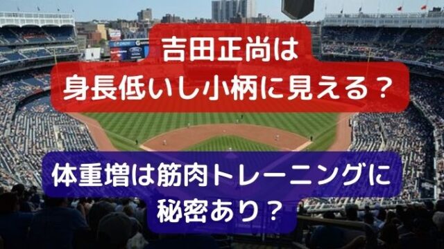 吉田正尚は身長低いし小柄に見える？体重増は筋肉トレーニングに秘密あり？