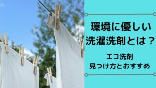 洗濯洗剤で環境に優しいのはよく落ちる？エコ洗剤の見つけ方とおすすめ9選