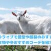 すとぷりライブで髪型や服装おすすめは？持ち物や冬おすすめコーデを紹介！